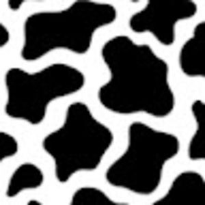 Meet your Posher, Ireland